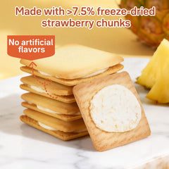 Dujosoo Freeze-Dried Pineapple Cookies - Bursting with Real Fruit Pieces & Bright Tropical Flavor(pack of 48) (10070544122177)