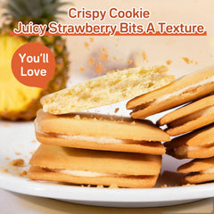 Dujosoo Freeze-Dried Pineapple Cookies - Bursting with Real Fruit Pieces & Bright Tropical Flavor(pack of 48) (10070544122177)