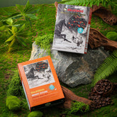 Dujosoo Apple Americano Powder: Triple-Boost Energy + 25% Real Apple, 0 Sugar(pack of 120) (10103258775873)