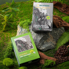 Dujosoo Jasmine Green Powder Latte: Zero Sugar, Just 44 Calories. Pure Delight.(pack of 120) (10070542319937)